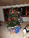 DSC00177