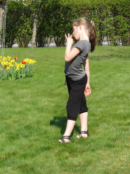 DSC00667