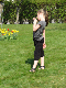 DSC00667