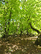 DSC00706