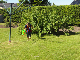 DSC00767
