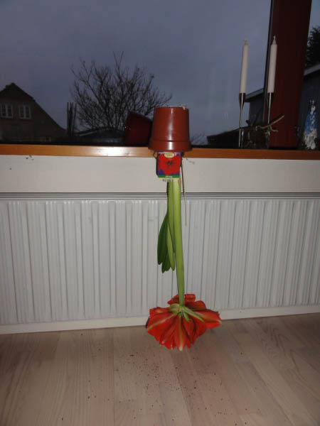 DSC02005