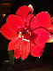 DSC02003